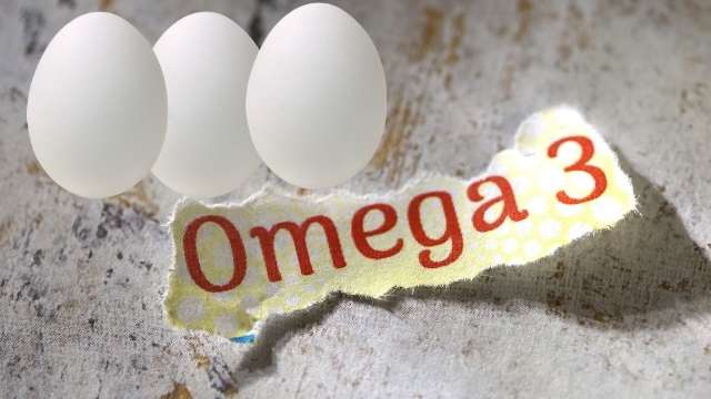 omega 3